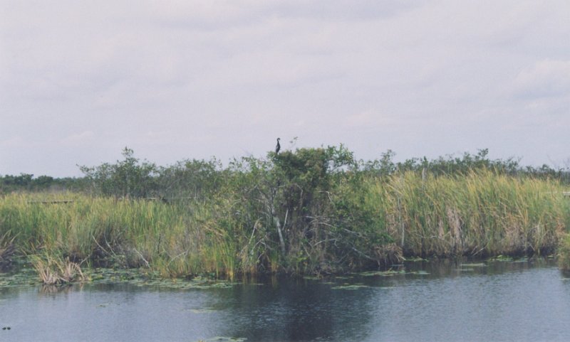 010-Everglades National Park.jpg